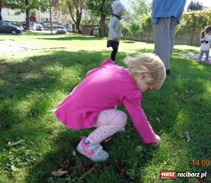Zdjęcie w galerii na portalu naszraciborz.pl: Fiku-miku wystartowało po raz siódmy wiadomości z regionu