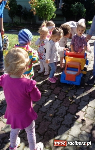 Zdjęcie w galerii na portalu naszraciborz.pl: Fiku-miku wystartowało po raz siódmy wiadomości z regionu