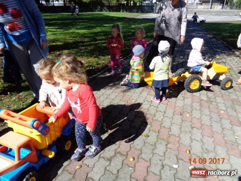 Zdjęcie w galerii na portalu naszraciborz.pl: Fiku-miku wystartowało po raz siódmy wiadomości z regionu