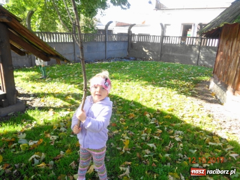 Zdjęcie w galerii na portalu naszraciborz.pl: Fiku-miku wystartowało po raz siódmy wiadomości z regionu