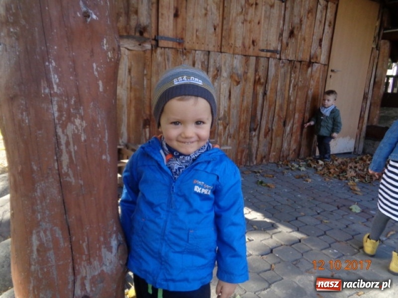 Zdjęcie w galerii na portalu naszraciborz.pl: Fiku-miku wystartowało po raz siódmy wiadomości z regionu