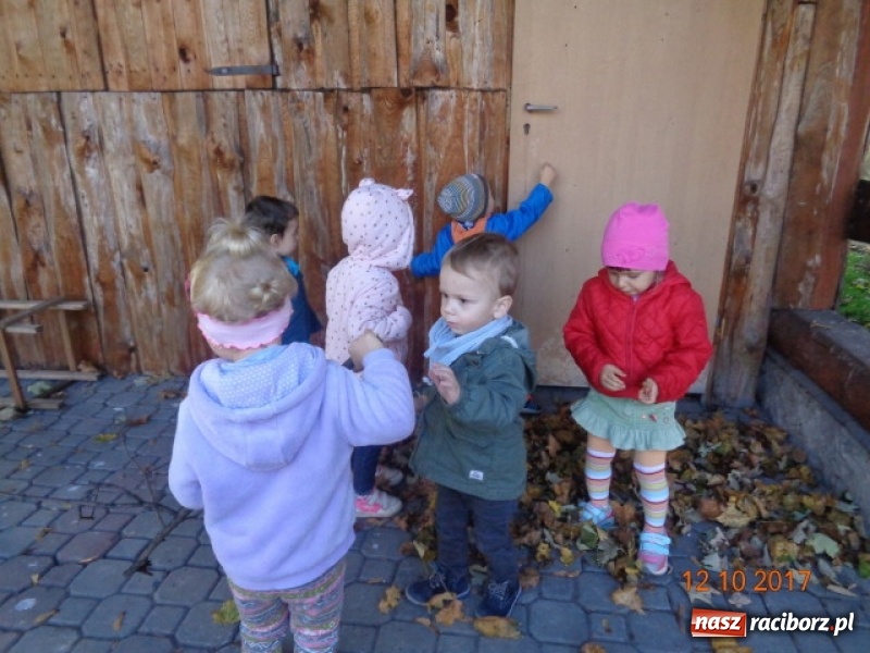 Zdjęcie w galerii na portalu naszraciborz.pl: Fiku-miku wystartowało po raz siódmy wiadomości z regionu