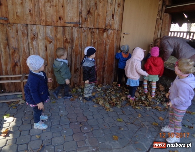 Zdjęcie w galerii na portalu naszraciborz.pl: Fiku-miku wystartowało po raz siódmy wiadomości z regionu
