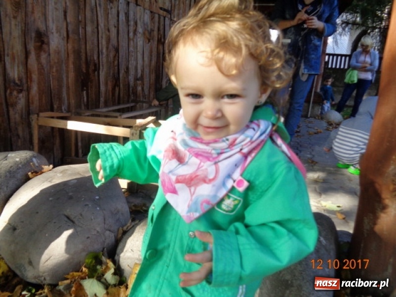 Zdjęcie w galerii na portalu naszraciborz.pl: Fiku-miku wystartowało po raz siódmy wiadomości z regionu