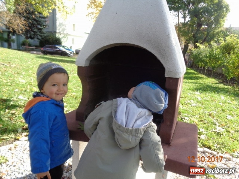 Zdjęcie w galerii na portalu naszraciborz.pl: Fiku-miku wystartowało po raz siódmy wiadomości z regionu