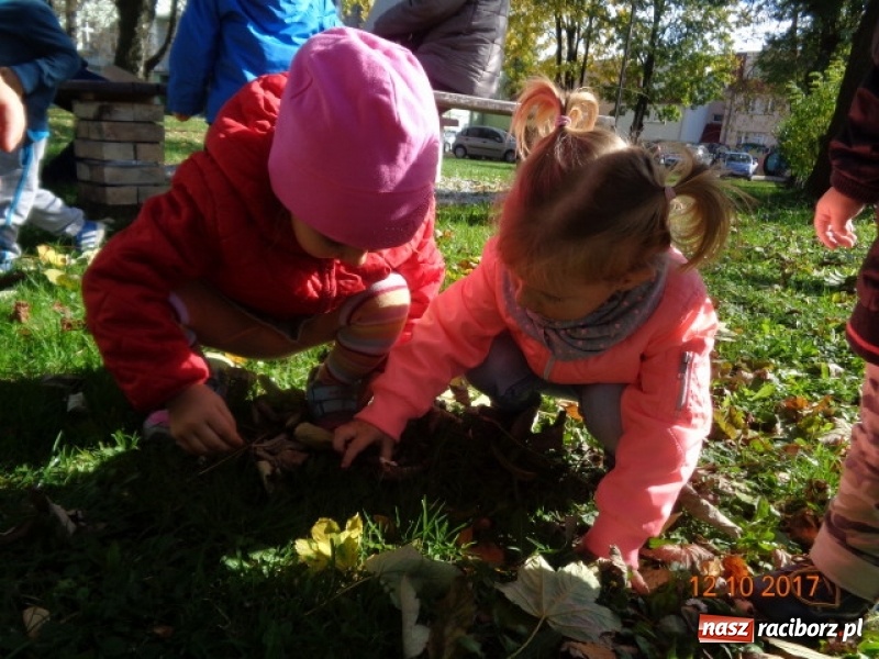 Zdjęcie w galerii na portalu naszraciborz.pl: Fiku-miku wystartowało po raz siódmy wiadomości z regionu
