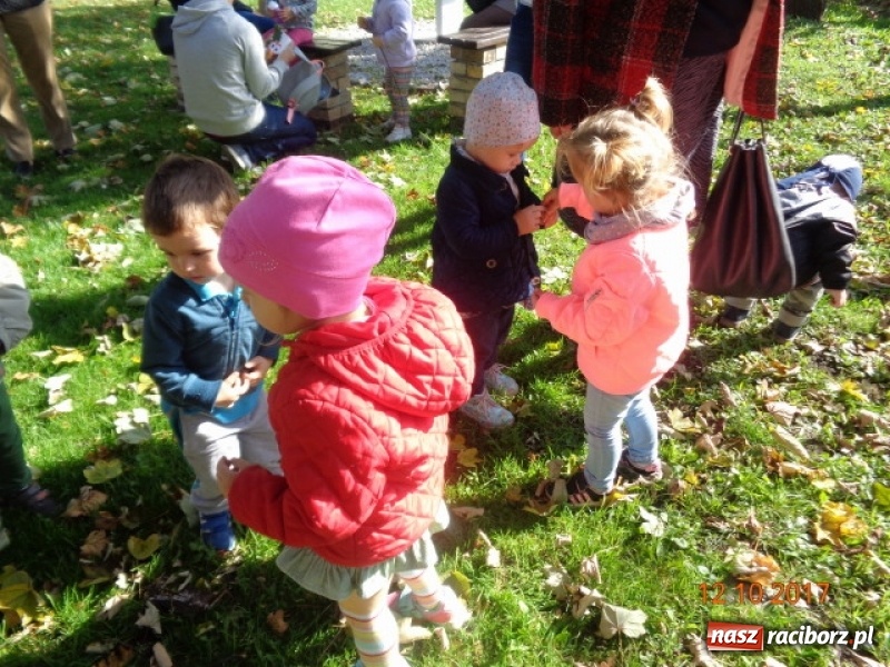 Zdjęcie w galerii na portalu naszraciborz.pl: Fiku-miku wystartowało po raz siódmy wiadomości z regionu