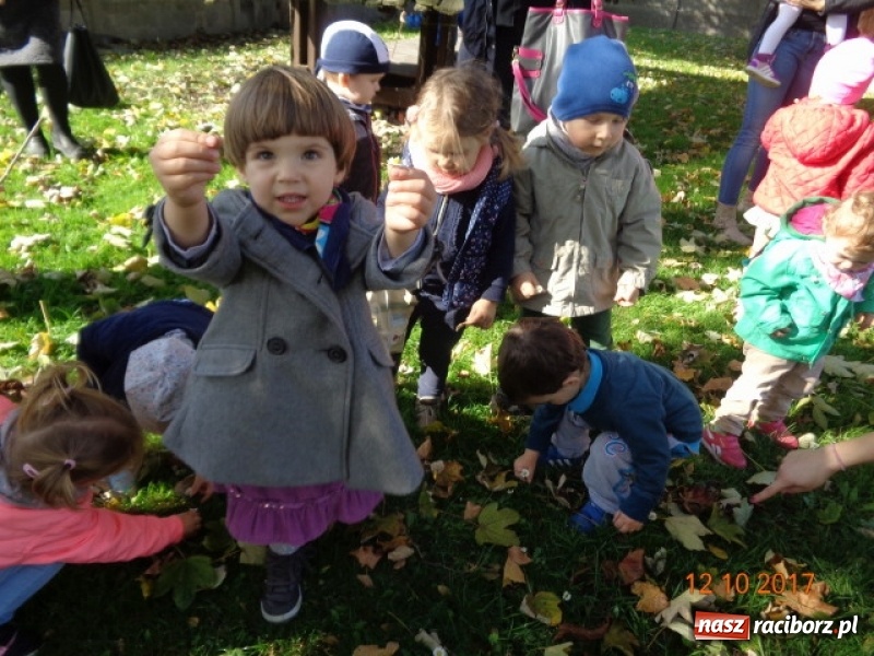 Zdjęcie w galerii na portalu naszraciborz.pl: Fiku-miku wystartowało po raz siódmy wiadomości z regionu