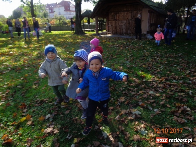 Zdjęcie w galerii na portalu naszraciborz.pl: Fiku-miku wystartowało po raz siódmy wiadomości z regionu