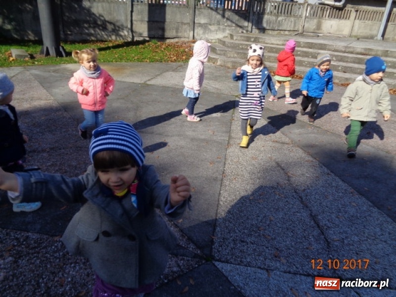 Zdjęcie w galerii na portalu naszraciborz.pl: Fiku-miku wystartowało po raz siódmy wiadomości z regionu