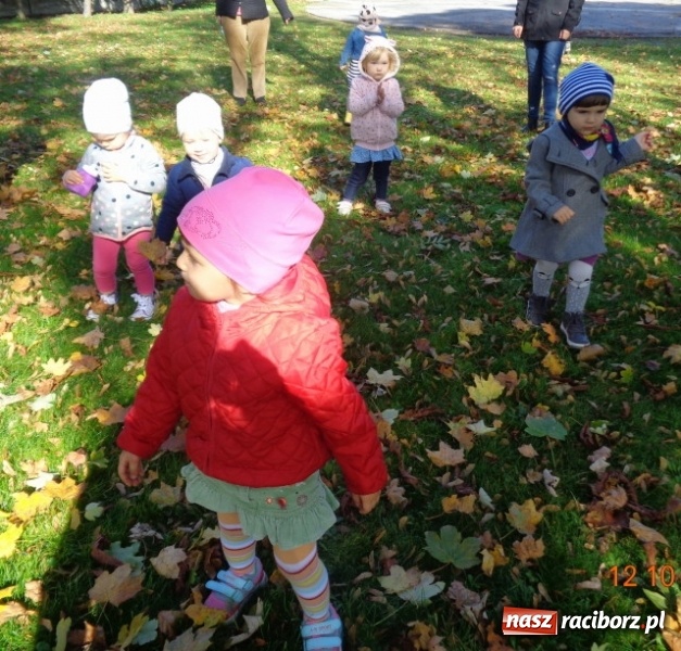Zdjęcie w galerii na portalu naszraciborz.pl: Fiku-miku wystartowało po raz siódmy wiadomości z regionu