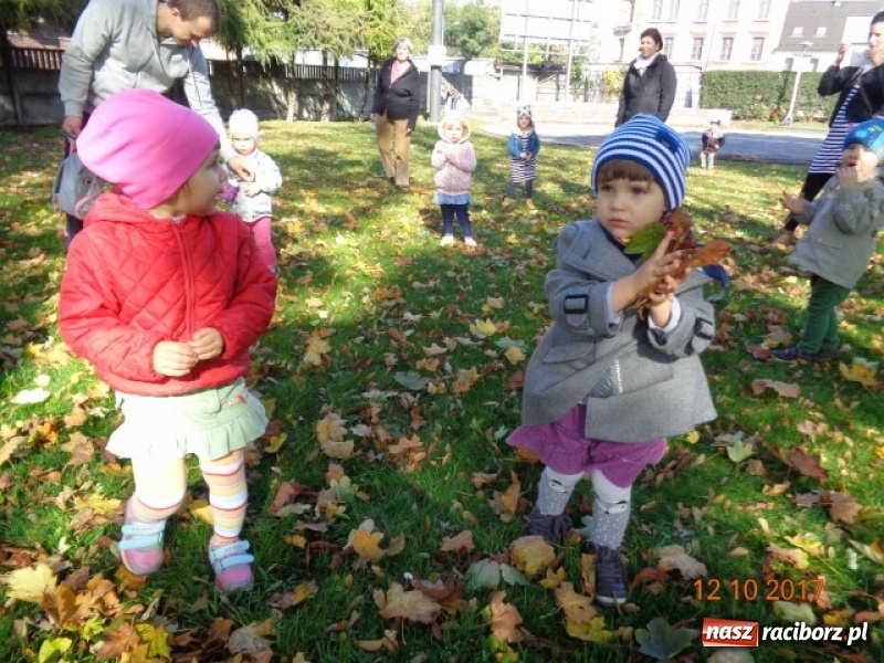 Zdjęcie w galerii na portalu naszraciborz.pl: Fiku-miku wystartowało po raz siódmy wiadomości z regionu