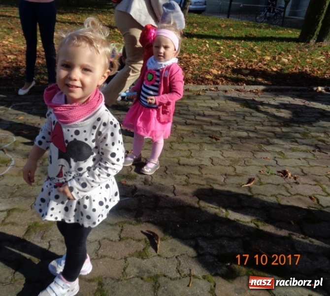 Zdjęcie w galerii na portalu naszraciborz.pl: Fiku-miku wystartowało po raz siódmy wiadomości z regionu