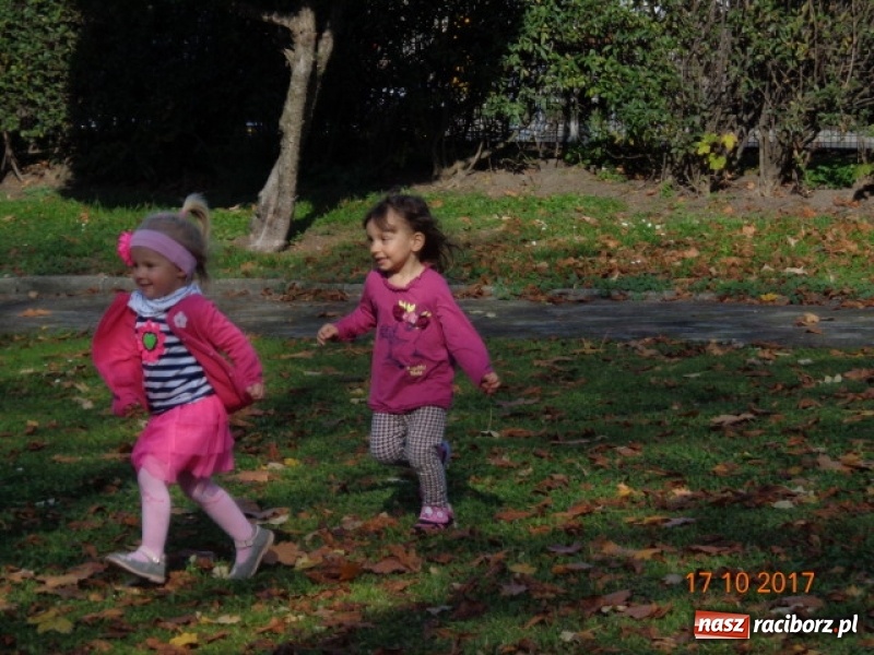 Zdjęcie w galerii na portalu naszraciborz.pl: Fiku-miku wystartowało po raz siódmy wiadomości z regionu