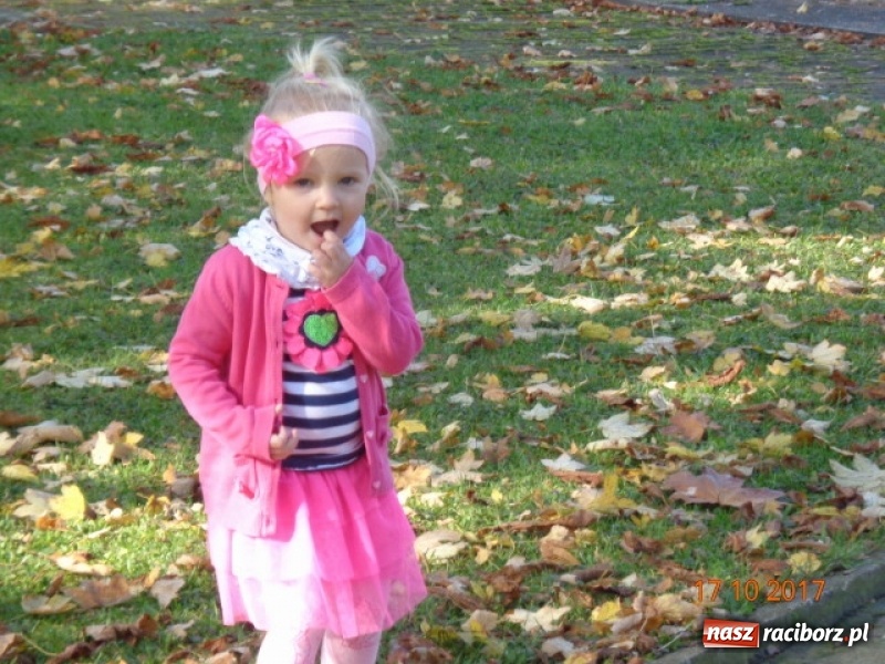 Zdjęcie w galerii na portalu naszraciborz.pl: Fiku-miku wystartowało po raz siódmy wiadomości z regionu