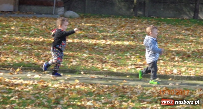 Zdjęcie w galerii na portalu naszraciborz.pl: Fiku-miku wystartowało po raz siódmy wiadomości z regionu