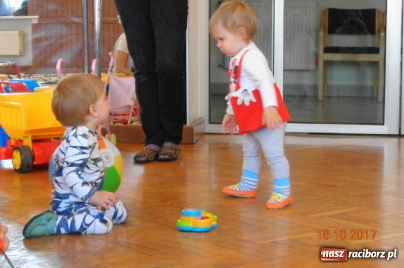 Zdjęcie w galerii na portalu naszraciborz.pl: Fiku-miku wystartowało po raz siódmy wiadomości z regionu