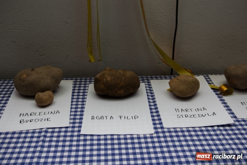 Zdjęcie w galerii na portalu naszraciborz.pl: Święto ziemniaka, czyli Kartoffelfest w Gamowie wiadomości z regionu