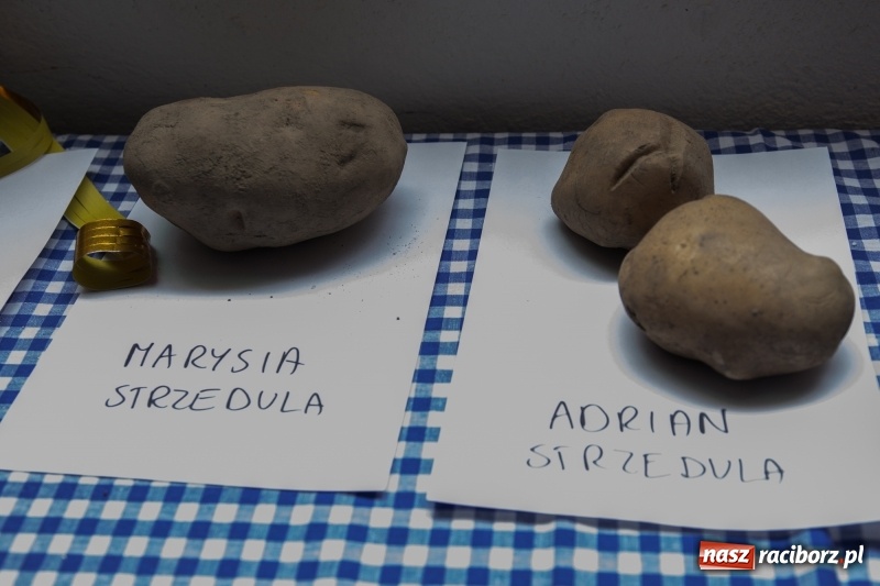 Zdjęcie w galerii na portalu naszraciborz.pl: Święto ziemniaka, czyli Kartoffelfest w Gamowie wiadomości z regionu