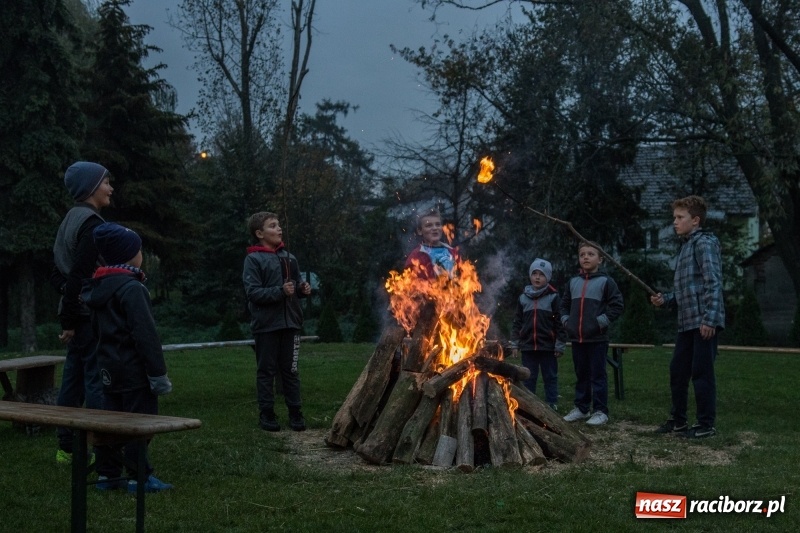 Zdjęcie w galerii na portalu naszraciborz.pl: Święto ziemniaka, czyli Kartoffelfest w Gamowie wiadomości z regionu