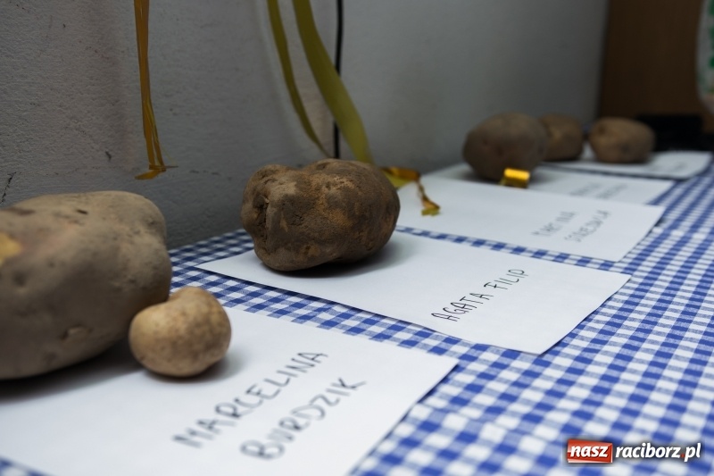 Zdjęcie w galerii na portalu naszraciborz.pl: Święto ziemniaka, czyli Kartoffelfest w Gamowie wiadomości z regionu