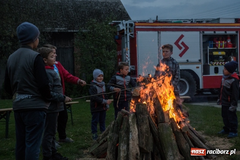 Zdjęcie w galerii na portalu naszraciborz.pl: Święto ziemniaka, czyli Kartoffelfest w Gamowie wiadomości z regionu