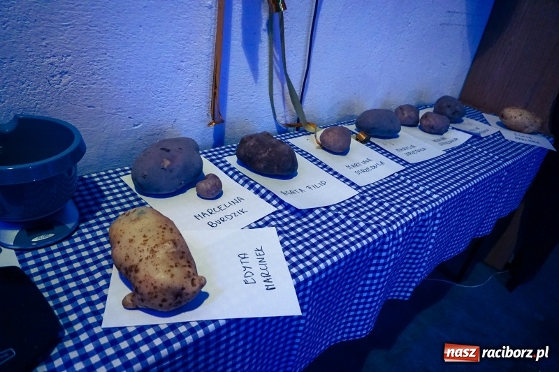 Zdjęcie w galerii na portalu naszraciborz.pl: Święto ziemniaka, czyli Kartoffelfest w Gamowie wiadomości z regionu