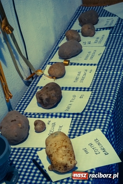 Zdjęcie w galerii na portalu naszraciborz.pl: Święto ziemniaka, czyli Kartoffelfest w Gamowie wiadomości z regionu