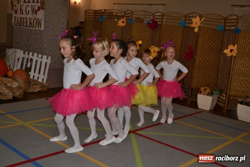 Zdjęcie w galerii na portalu naszraciborz.pl: Panie z zabełkowskiego KGW świętowały jubileusz  wiadomości z regionu