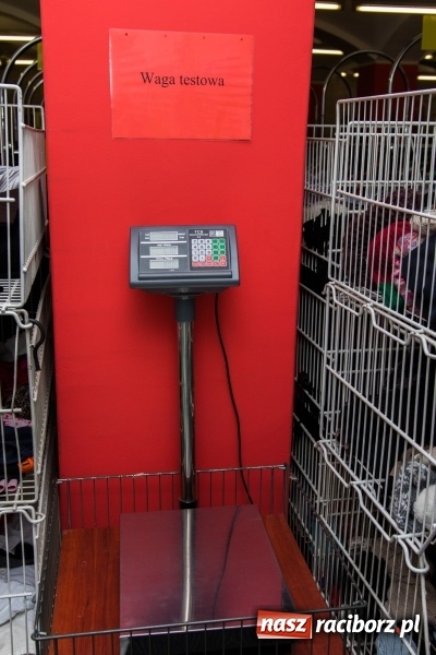 Zdjęcie w galerii na portalu naszraciborz.pl: Metamorfoza w RABANIE - Nowe wnętrza, nowy towar, nowe niższe ceny!!! wiadomości z regionu