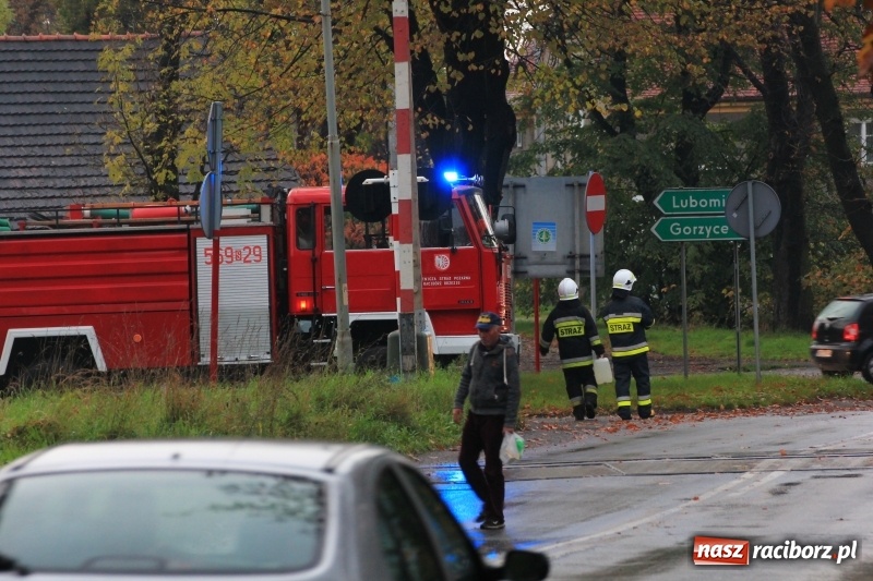 Zdjęcie w galerii na portalu naszraciborz.pl: DW 935 Racibórz-Kornowac przez kilka godzin wyłączona z ruchu wiadomości z regionu