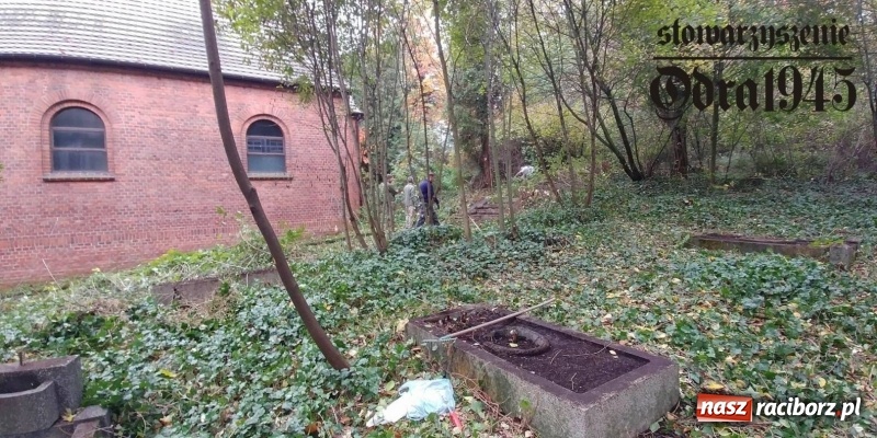 Zdjęcie w galerii na portalu naszraciborz.pl: Chcą uratować to, co zostało. Stowarzyszenie Odra 1945 porządkuje cmentarz ewangelicki   wiadomości z regionu