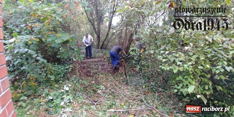 Zdjęcie w galerii na portalu naszraciborz.pl: Chcą uratować to, co zostało. Stowarzyszenie Odra 1945 porządkuje cmentarz ewangelicki   wiadomości z regionu