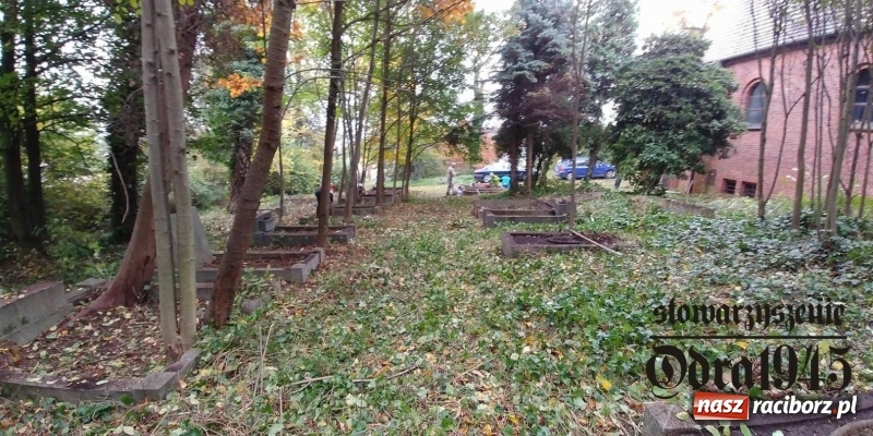 Zdjęcie w galerii na portalu naszraciborz.pl: Chcą uratować to, co zostało. Stowarzyszenie Odra 1945 porządkuje cmentarz ewangelicki   wiadomości z regionu