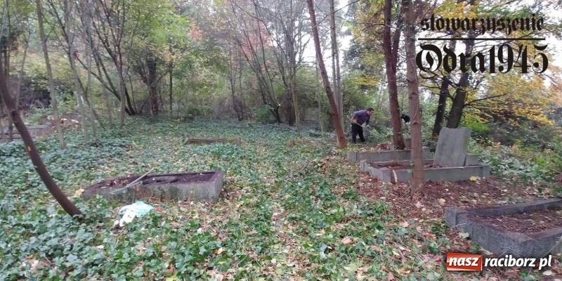 Zdjęcie w galerii na portalu naszraciborz.pl: Chcą uratować to, co zostało. Stowarzyszenie Odra 1945 porządkuje cmentarz ewangelicki   wiadomości z regionu