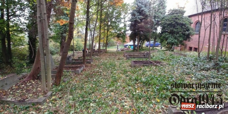 Zdjęcie w galerii na portalu naszraciborz.pl: Chcą uratować to, co zostało. Stowarzyszenie Odra 1945 porządkuje cmentarz ewangelicki   wiadomości z regionu