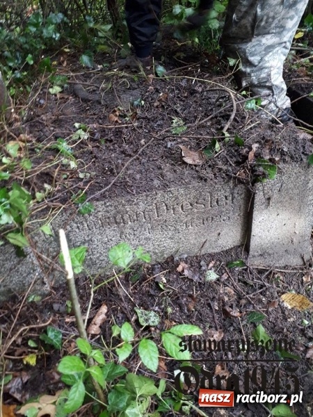 Zdjęcie w galerii na portalu naszraciborz.pl: Chcą uratować to, co zostało. Stowarzyszenie Odra 1945 porządkuje cmentarz ewangelicki   wiadomości z regionu
