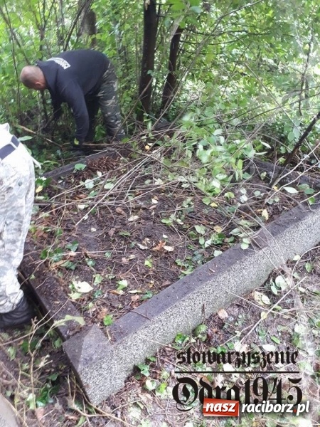 Zdjęcie w galerii na portalu naszraciborz.pl: Chcą uratować to, co zostało. Stowarzyszenie Odra 1945 porządkuje cmentarz ewangelicki   wiadomości z regionu