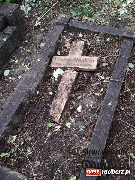 Zdjęcie w galerii na portalu naszraciborz.pl: Chcą uratować to, co zostało. Stowarzyszenie Odra 1945 porządkuje cmentarz ewangelicki   wiadomości z regionu