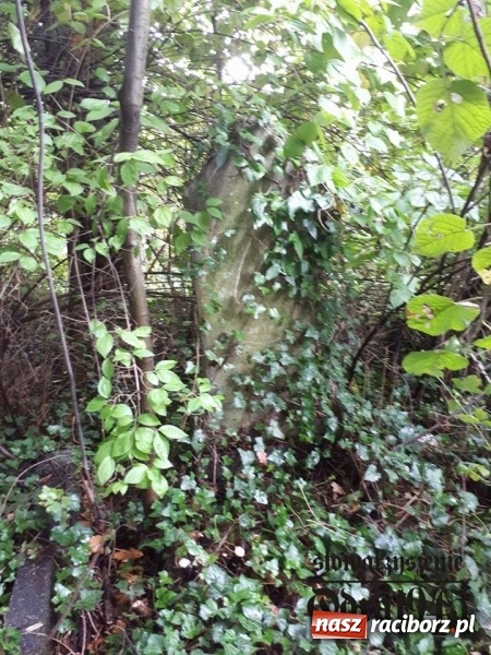 Zdjęcie w galerii na portalu naszraciborz.pl: Chcą uratować to, co zostało. Stowarzyszenie Odra 1945 porządkuje cmentarz ewangelicki   wiadomości z regionu