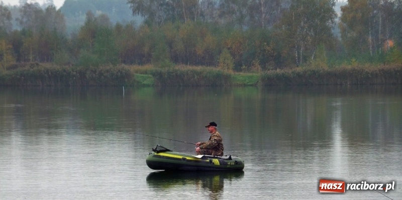 Zdjęcie w galerii na portalu naszraciborz.pl: 60-centymetrowy szczupak na zawodach na Babiczoku wiadomości z regionu