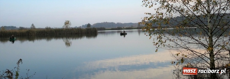Zdjęcie w galerii na portalu naszraciborz.pl: 60-centymetrowy szczupak na zawodach na Babiczoku wiadomości z regionu