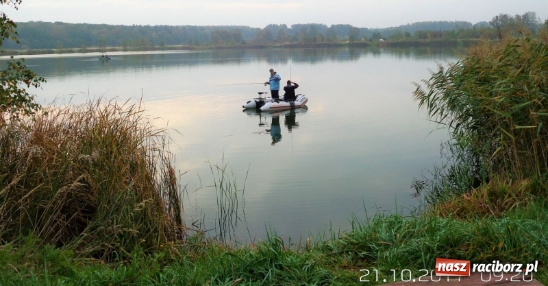 Zdjęcie w galerii na portalu naszraciborz.pl: 60-centymetrowy szczupak na zawodach na Babiczoku wiadomości z regionu