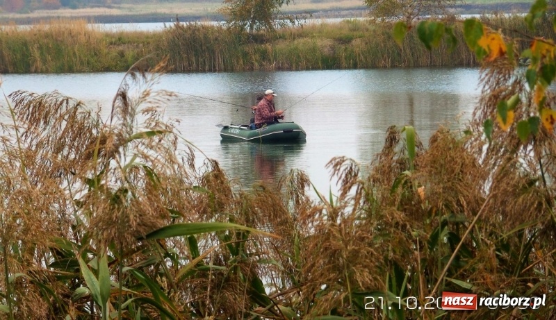Zdjęcie w galerii na portalu naszraciborz.pl: 60-centymetrowy szczupak na zawodach na Babiczoku wiadomości z regionu