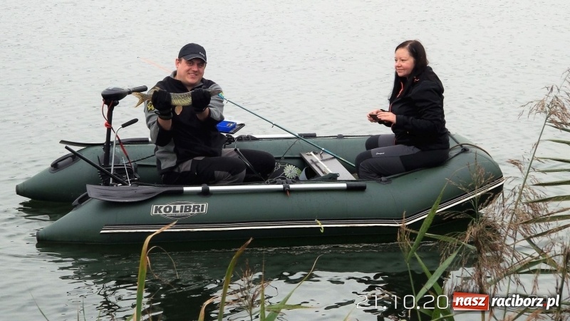 Zdjęcie w galerii na portalu naszraciborz.pl: 60-centymetrowy szczupak na zawodach na Babiczoku wiadomości z regionu