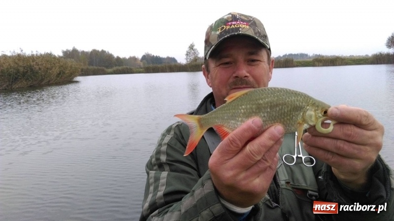 Zdjęcie w galerii na portalu naszraciborz.pl: 60-centymetrowy szczupak na zawodach na Babiczoku wiadomości z regionu