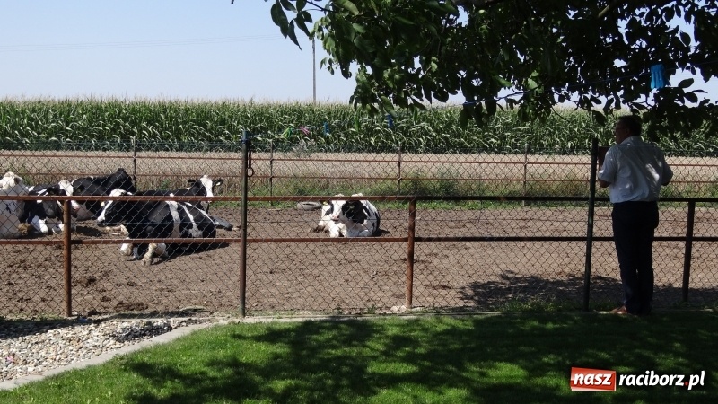 Zdjęcie w galerii na portalu naszraciborz.pl: Najpiękniejsza zagroda województwa śląskiego znajduje się w Krzanowicach  wiadomości z regionu