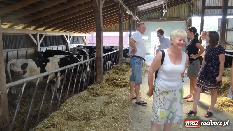Zdjęcie w galerii na portalu naszraciborz.pl: Najpiękniejsza zagroda województwa śląskiego znajduje się w Krzanowicach  wiadomości z regionu