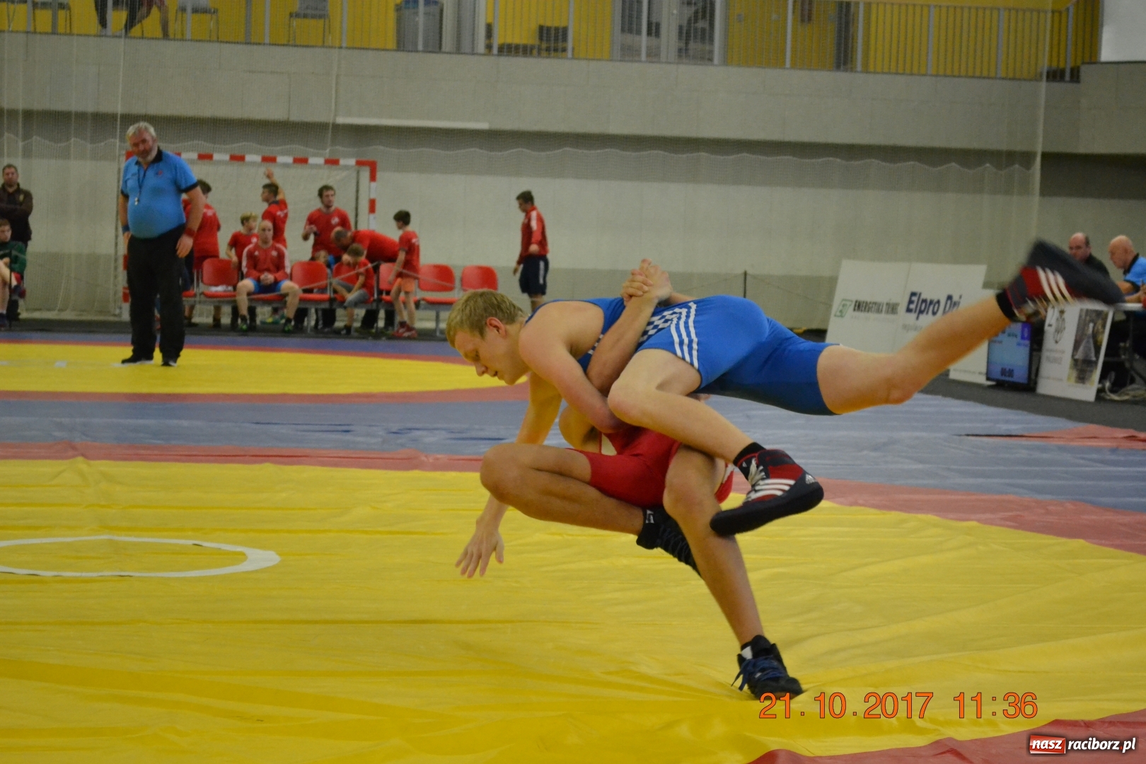 Zdjęcie w galerii na portalu naszraciborz.pl: Medale zapaśników Unii w Trzyńcu wiadomości z regionu