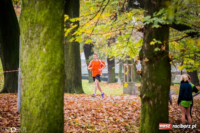Zdjęcie w galerii na portalu naszraciborz.pl: Sztafetowe biegi przełajowe w parku Zamkowym wiadomości z regionu